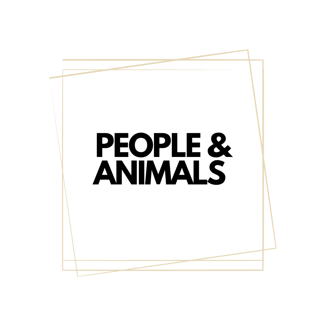 People and Animals Picture